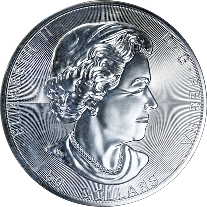 2017 Canada $50 10oz Silver Maple Leaf BU in OGP Sheet/Capsule