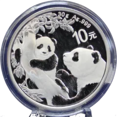2021 China Panda 30g Silver Coin
