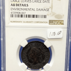 1891 Canada 1 Cent Large Leaves Large Date NGC AU Details Env. Damage