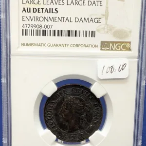 1891 Canada 1 Cent Large Leaves Large Date NGC AU Details Env. Damage